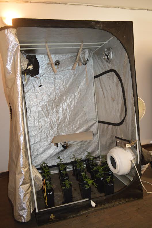 Un ressortissant français à la tête d'un vaste réseau de production organique et de trafic d'une nouvelle variété de drogue arrêté à Toubab Dialaw Un ressortissant français à la tête d'un vaste réseau de production organique et de trafic d'une nouvelle variété de drogue arrêté à Toubab Dialaw