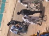 A situation exceptionnelle, mesures exceptionnelles à Madina Gounass- Fouille systématique des fidèles lors de la prière de ce vendredi...