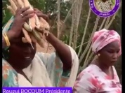 rouguy video 3.mp4