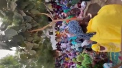 rouguy video 4.mp4