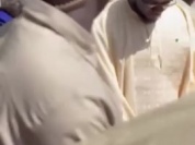 SocialVideo_1742056816841.mp4