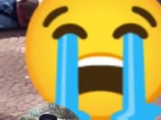 SocialVideo_1744409970710.mp4