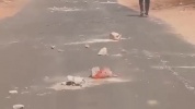 SocialVideo_1747825028407.mp4