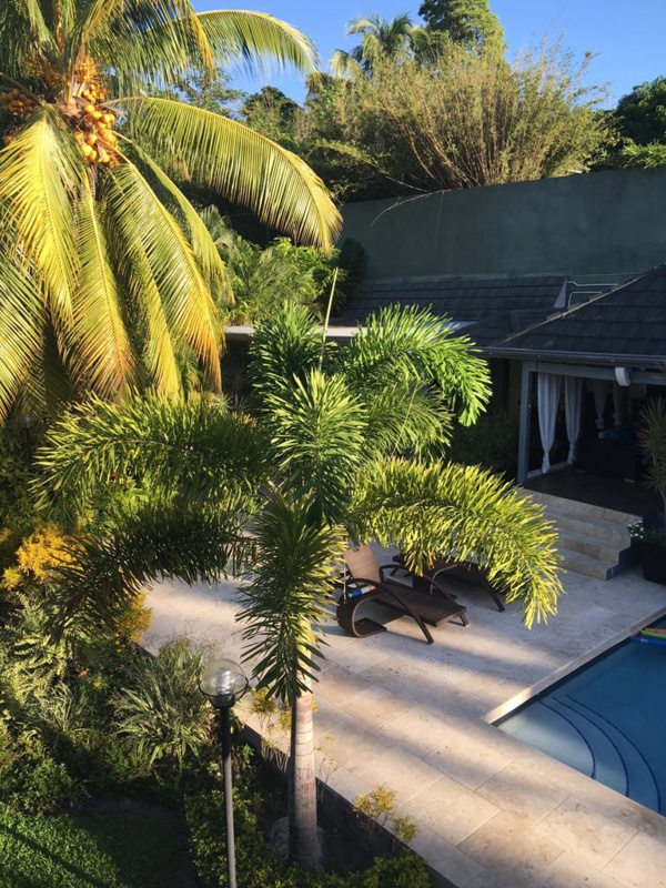 Combien gagne Usain Bolt et que fait-il de son argent? Combien gagne Usain Bolt et que fait-il de son argent?