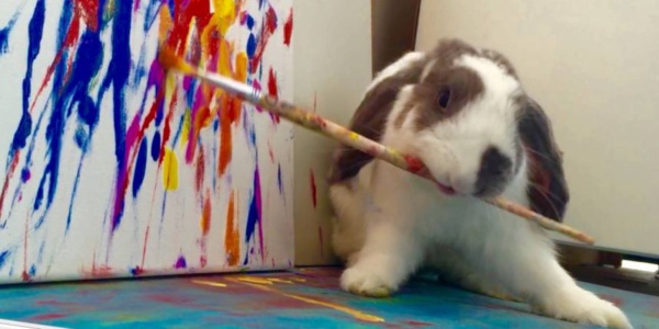 L’instant meugnon : Bini le lapin, artiste peintre à ses heures, craquant à plein temps