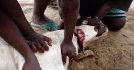 Tabaski : Sens profond du sacrifice d’Ibrahim (AS)