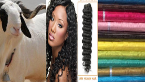 Tabaski Sénégal: entre mouton Ladoum, cheveux Naturels et Getzner ou se trouve la foi ? Tabaski Sénégal: entre mouton Ladoum, cheveux Naturels et Getzner ou se trouve la foi ?