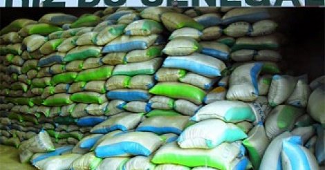 Le chef de l’Etat demande la mise en place d’un label "Riz du Sénégal" Le chef de l’Etat demande la mise en place d’un label "Riz du Sénégal"