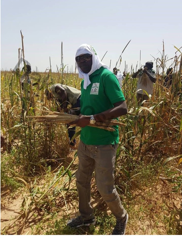 Cheikh Amar, sa fratrie, bref tout le  groupe Holding Amar aux champs de Serigne Saliou Mbacké à Khelcom