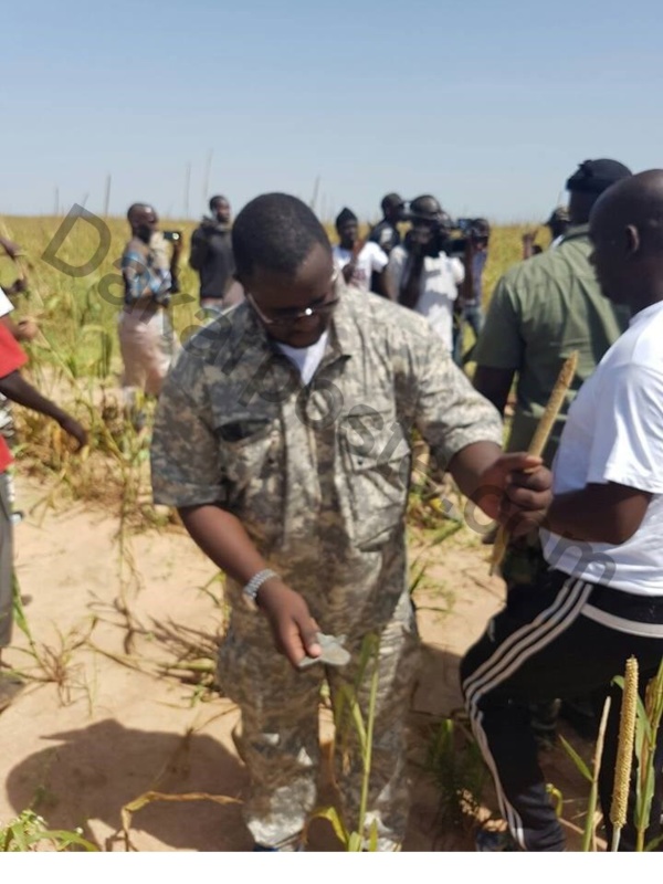 Cheikh Amar, sa fratrie, bref tout le  groupe Holding Amar aux champs de Serigne Saliou Mbacké à Khelcom