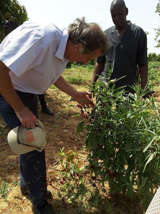 Tournée de l’ ambassadeur de la France Christophe Bigot, à Matam, Podor, Bokhol et Bakel