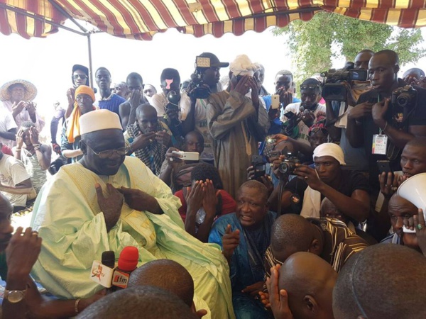 Cheikh Amar: 