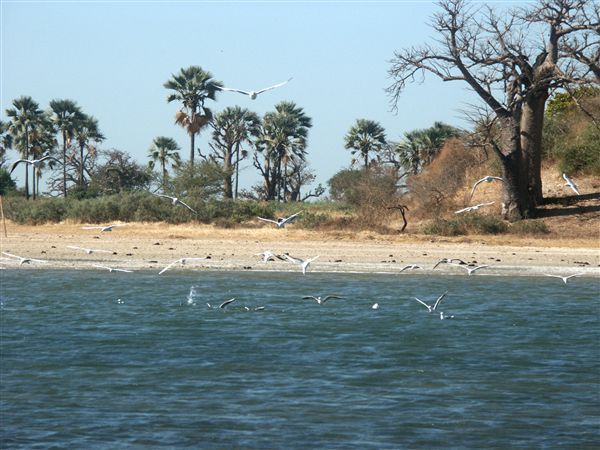 Un couple de français en voyage de noces au Sénégal s’est noyé