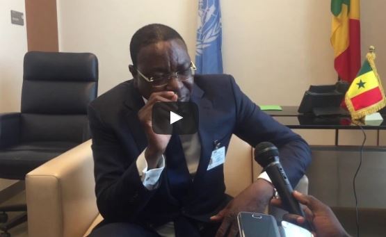 ONU : Tout ce qu’il faut savoir sur la présidence du Sénégal au Conseil de sécurité