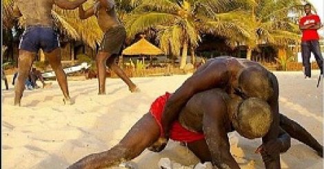 Affaire Ndiaga Diouf : Un ancien Roi des arènes au banc des accusés Affaire Ndiaga Diouf : Un ancien Roi des arènes au banc des accusés