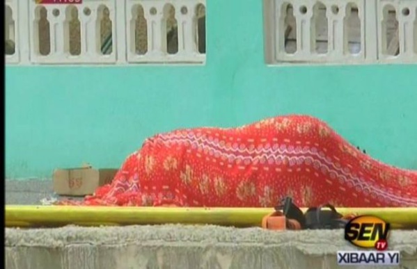 Mbacké : un berger Peulh tué à coup de fourche par un groupe de Talibés Mbacké : un berger Peulh tué à coup de fourche par un groupe de Talibés