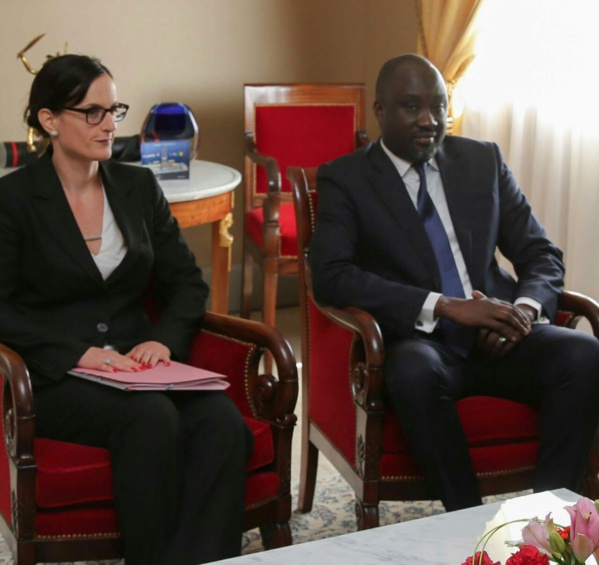 Malick Mbaye de l'ANAMO reconduit représentant du CIRID en Afrique de l'Ouest Malick Mbaye de l'ANAMO reconduit représentant du CIRID en Afrique de l'Ouest