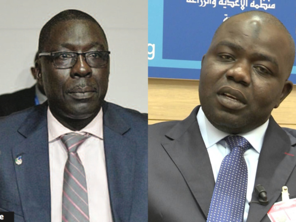 Deux ministres de Jammeh fuient la Gambie via le Sénégal