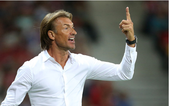 Hervé Renard : « Quand je vois le Sénégal jouer, j’ai des maux de tête »