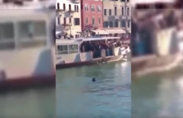 Un jeune gambien se noie sous les rires des passants à Venise…Personne ne le sauve