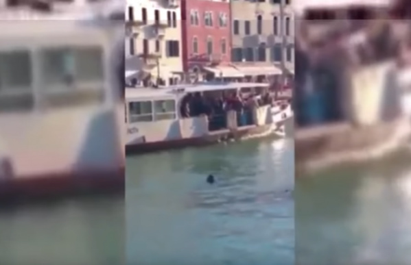 Un jeune gambien se noie sous les rires des passants à Venise…Personne ne le sauve Un jeune gambien se noie sous les rires des passants à Venise…Personne ne le sauve