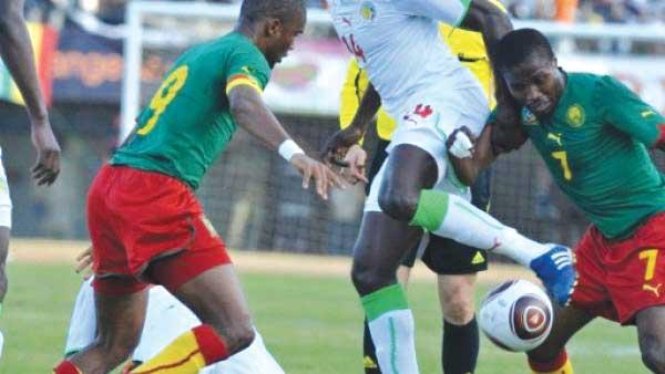 CAN-2017 : Sénégal - Cameroun, duel alléchant entre les lions d'Afrique CAN-2017 : Sénégal - Cameroun, duel alléchant entre les lions d'Afrique