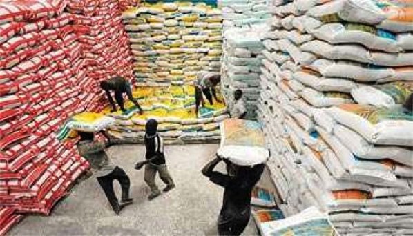 Tension sur le riz : la SAED préconise un écoulement rapide des stocks de la vallée Tension sur le riz : la SAED préconise un écoulement rapide des stocks de la vallée