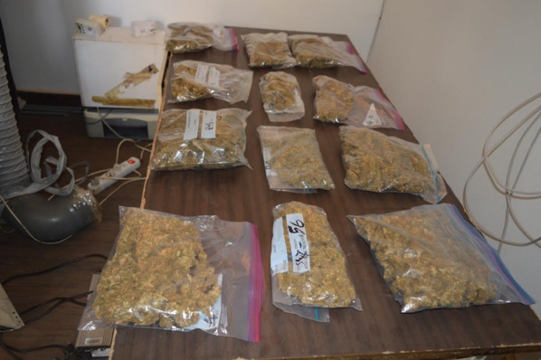 Un ressortissant français à la tête d'un vaste réseau de production organique et de trafic d'une nouvelle variété de drogue arrêté à Toubab Dialaw