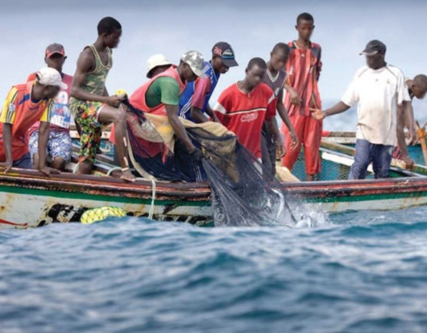 Drame au large des côtes sénégalaises: La Marine repêche 16 cadavres de pêcheurs