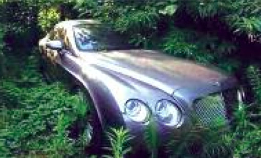 GAMBIE - La cache du parc automobile de Jammeh découverte GAMBIE - La cache du parc automobile de Jammeh découverte