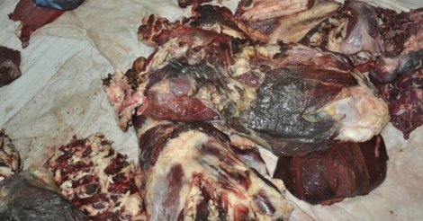 Saisie d’un container de viande de bœuf pourrie, d’une valeur de 25 millions Saisie d’un container de viande de bœuf pourrie, d’une valeur de 25 millions