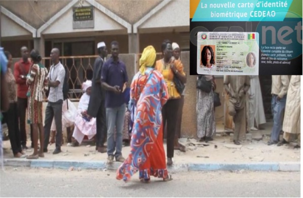 « Mankoo Taxawu Senegaal » alerte : « 240 534 Sénégalais seront privés de leur droit de vote » « Mankoo Taxawu Senegaal » alerte : « 240 534 Sénégalais seront privés de leur droit de vote »