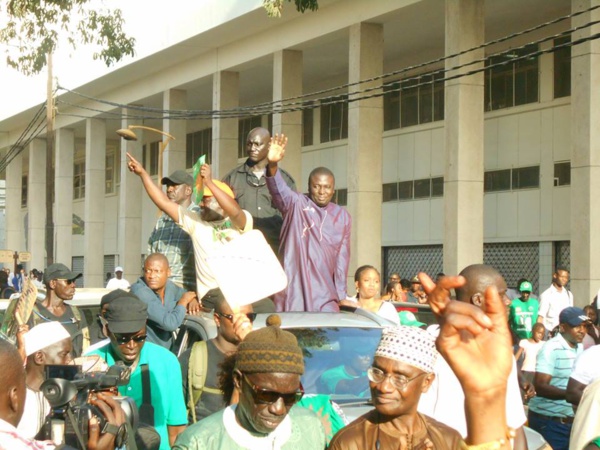 Arrêt sur image: La forte mobilisation du maire de la Medina, Bamba Fall à travers les grandes artères de son fief