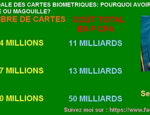 Qui a surfacturé nos cartes d’identité biométriques? Par Mamadou Sy Tounkara