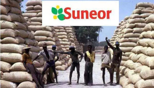 Suneor Kaolack- La catastrophe plane en permanence Suneor Kaolack- La catastrophe plane en permanence