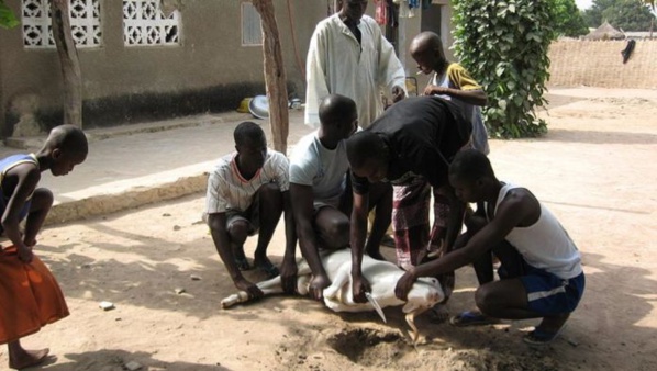 Le Sénégal célèbre la Tabaski le 2 septembre (URGENT)