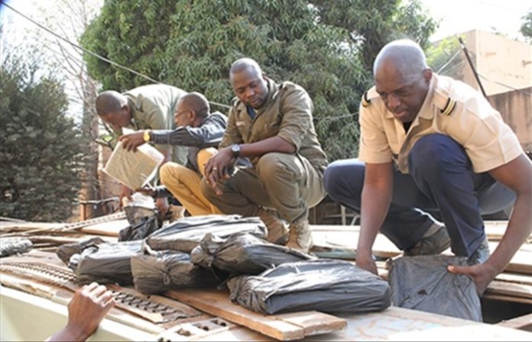 THIÈS : 238 kilogrammes de chanvre indien saisis THIÈS : 238 kilogrammes de chanvre indien saisis