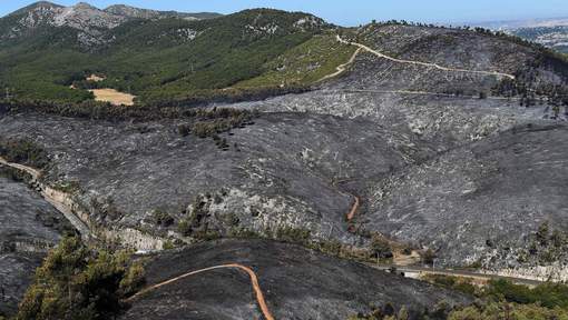 Un homme soupçonné d'avoir provoqué 17 incendies près de Marseille