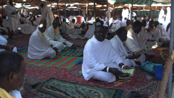 PÈLERINS LAISSES EN RAD PÈLERINS LAISSES EN RAD
