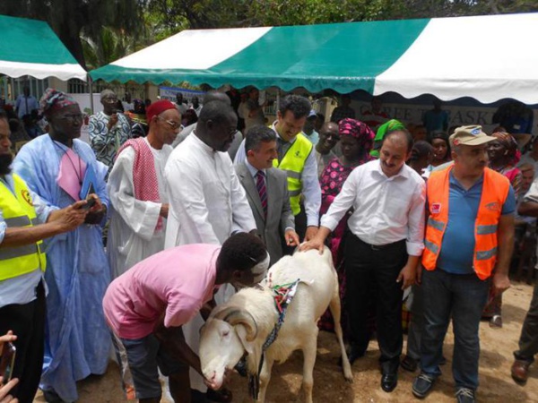 Tabaski – La Turquie prend 4500 familles en charge Tabaski – La Turquie prend 4500 familles en charge