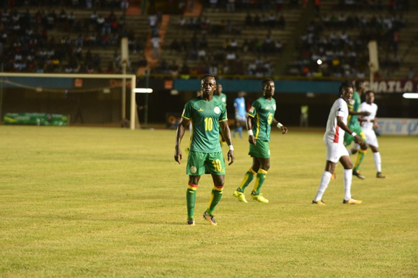Les Lions font encore match nul face aux Étalons 2-2