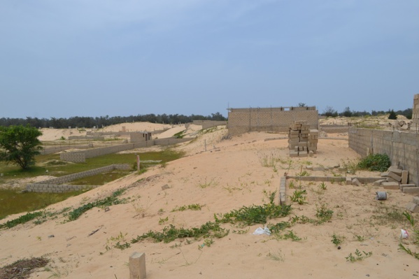 DEMOLITIONS A TIVAOUANE PEUL: Les victimes tancent le maire et demandent à l’assistance de Macky Sall DEMOLITIONS A TIVAOUANE PEUL: Les victimes tancent le maire et demandent à l’assistance de Macky Sall
