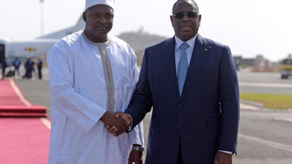 Pillage des forêts – Que fait la Gambie ? Pillage des forêts – Que fait la Gambie ?