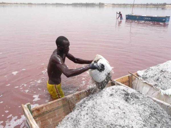 Le quotidien « très salé » des travailleurs du Lac Rose