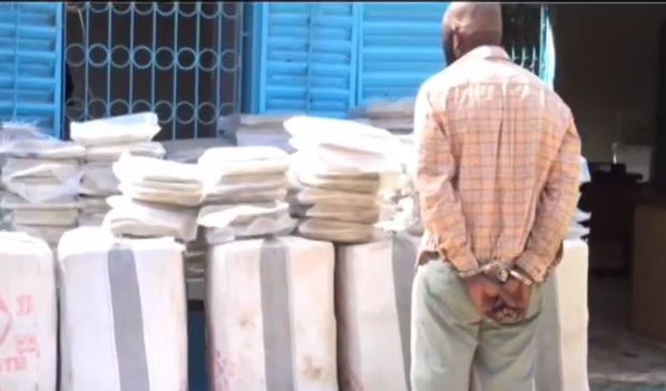 Saisie à Pout de 824 kg de chanvre et 10 T de riz impropre à la consommation humaine Saisie à Pout de 824 kg de chanvre et 10 T de riz impropre à la consommation humaine