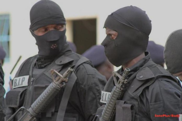 Alerte terroriste des Yankees – La…peur ! Alerte terroriste des Yankees – La…peur !