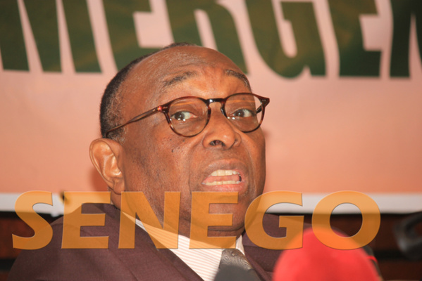 Babacar Fall: « Si Jean Paul Dias n’est pas dans la prostitution politique… » Babacar Fall: « Si Jean Paul Dias n’est pas dans la prostitution politique… »