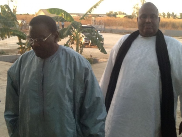 4000 bœufs, 1 milliard d’adiya : La démonstration de force de Cheikh Béthio
