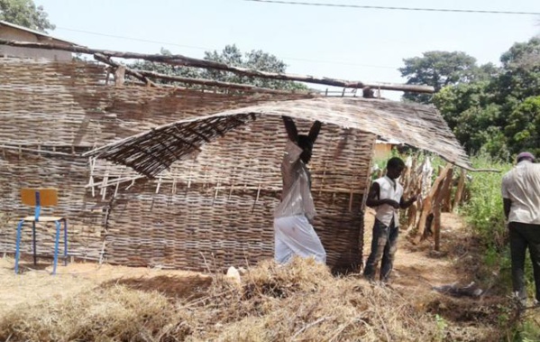 Abris provisoires : le Sénégal en compte 6.369 sous Macky Sall