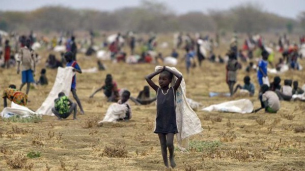 Insécurité Alimentaire Au Nord Du Sénégal : Le Fouta Menacé De Famine